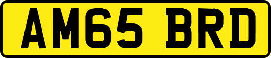 AM65BRD