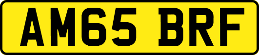 AM65BRF