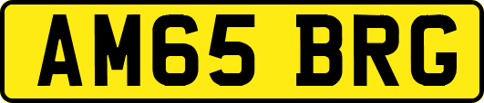 AM65BRG