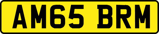 AM65BRM