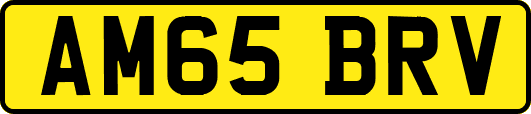 AM65BRV