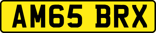 AM65BRX