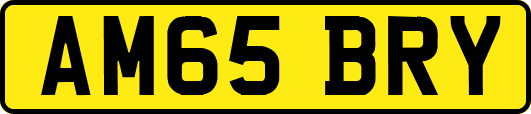 AM65BRY