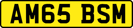 AM65BSM