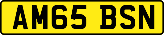 AM65BSN