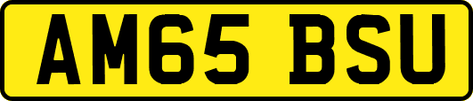 AM65BSU