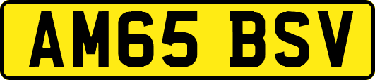 AM65BSV