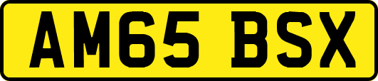 AM65BSX