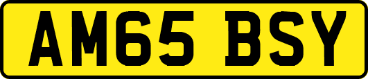 AM65BSY