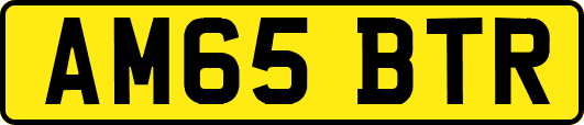 AM65BTR