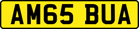 AM65BUA