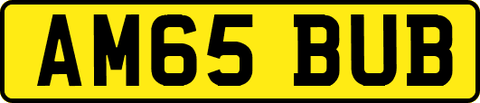 AM65BUB