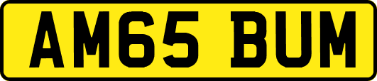 AM65BUM