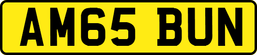 AM65BUN