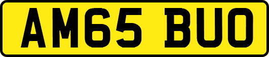 AM65BUO