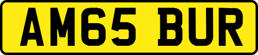 AM65BUR