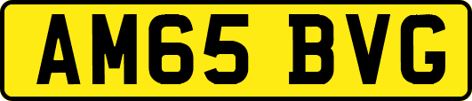 AM65BVG