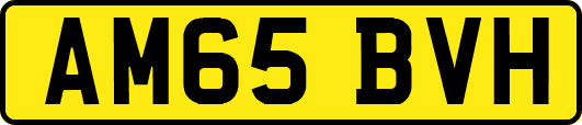 AM65BVH