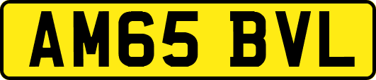 AM65BVL