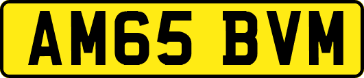 AM65BVM