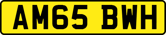 AM65BWH