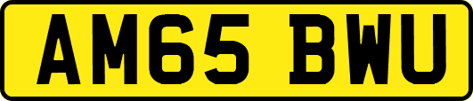 AM65BWU
