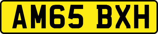 AM65BXH