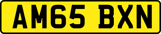 AM65BXN