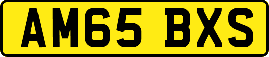 AM65BXS