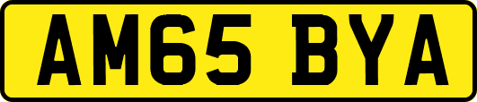 AM65BYA