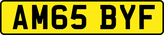 AM65BYF