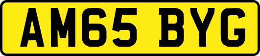 AM65BYG