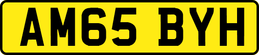 AM65BYH