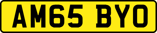 AM65BYO
