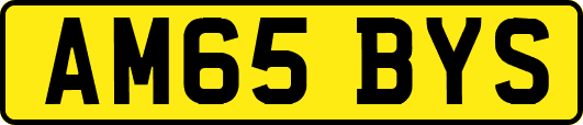 AM65BYS