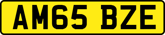 AM65BZE