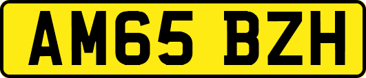 AM65BZH