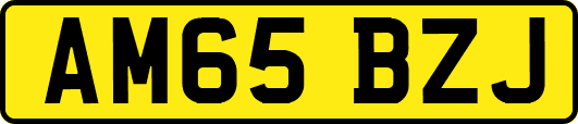 AM65BZJ