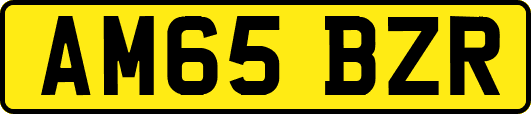 AM65BZR