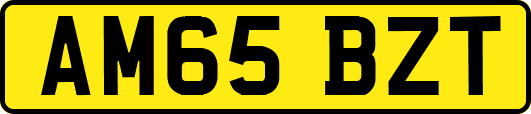 AM65BZT
