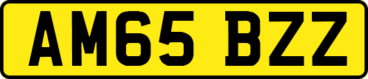 AM65BZZ