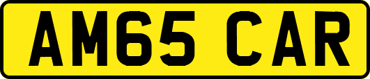 AM65CAR