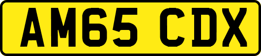 AM65CDX
