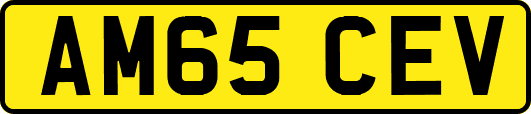 AM65CEV