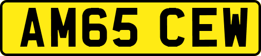 AM65CEW