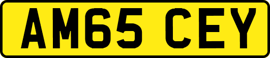 AM65CEY
