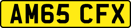 AM65CFX