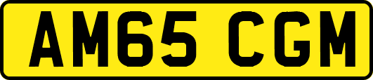 AM65CGM
