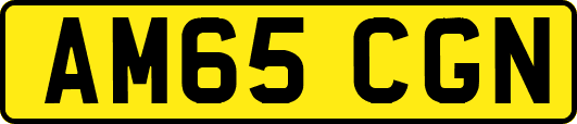AM65CGN