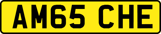 AM65CHE